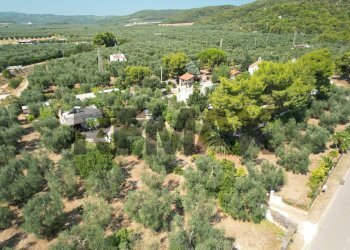 Vista delle montagne - Villa Umbramare
4, Vieste - foto 23