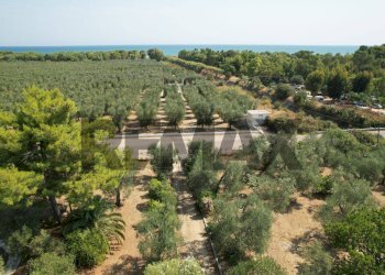 Non correlato - Villa Umbramare
4, Vieste - foto 25