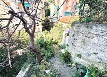 Foto 24 - Three-room apartment via Corridoni
 
6, Savona - photo 24