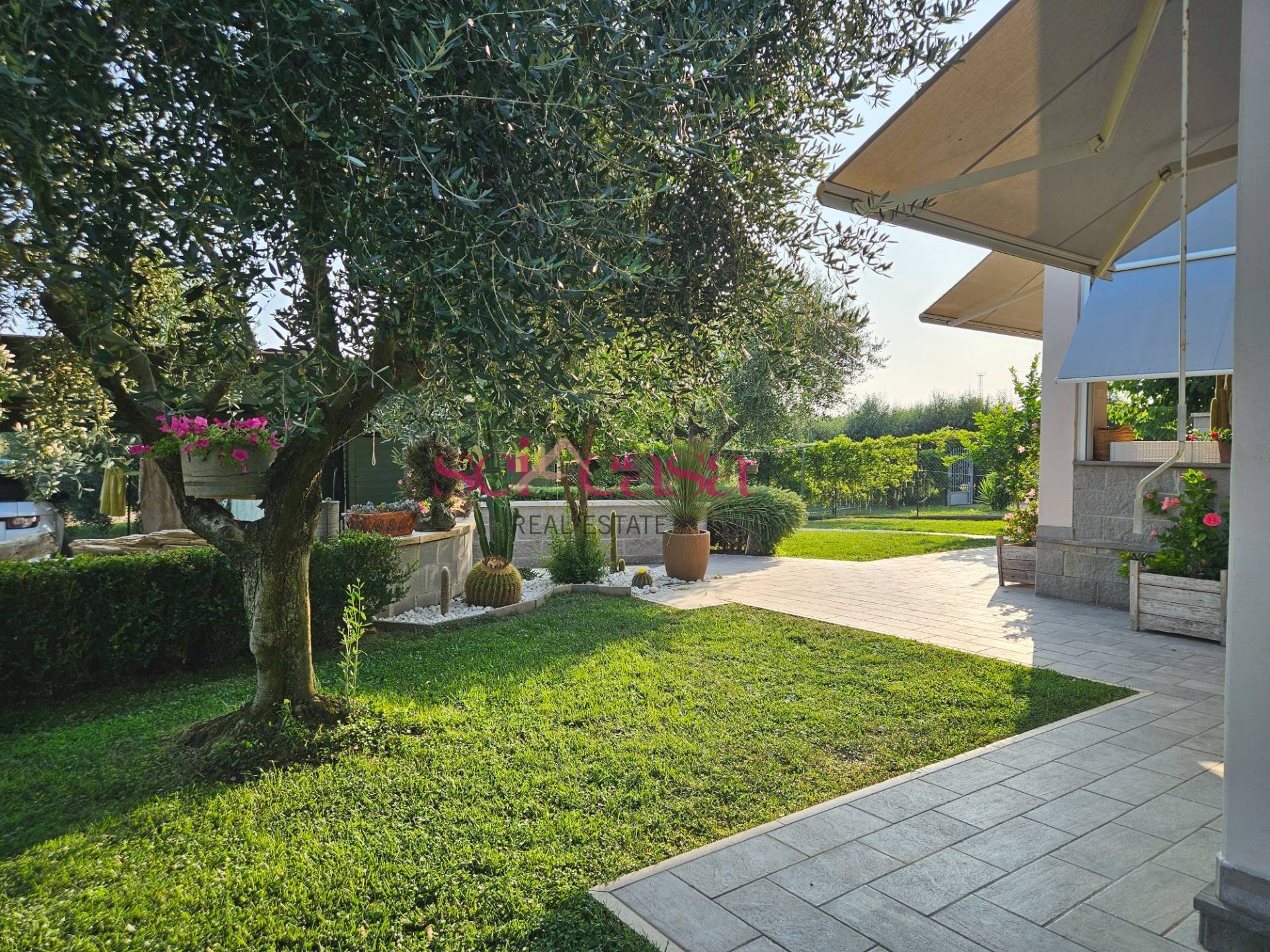 Foto 1 - Casa semi indipendente Grosseto - foto 1