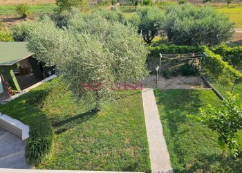 Foto 35 - Casa semi indipendente Grosseto - foto 35