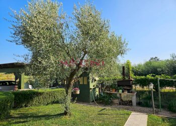 Foto 42 - Casa semi indipendente Grosseto - foto 42