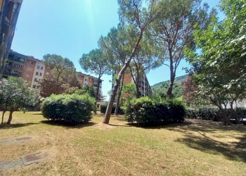 18 - Apartment Recco - photo 18