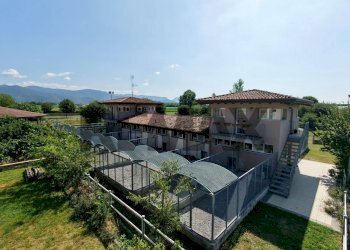 Casale Via Trento, 52/A
Paderno Franciacorta, Paderno Franciacorta - photo 16