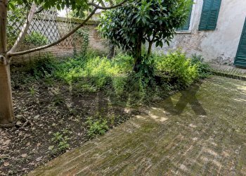 Giardino - Casa semi indipendente via circondario ponente
 
33, Lugo - foto 5