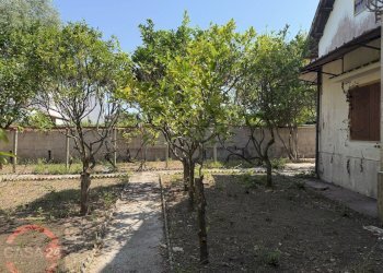Foto 15 - Villa Santa Cruz, Terracina - foto 15