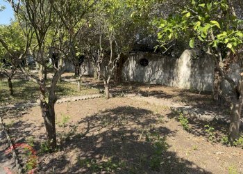 Foto 19 - Villa Santa Cruz, Terracina - foto 19