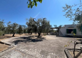 Giardino - Villa Località San Luca
 
5, Vieste - photo 18
