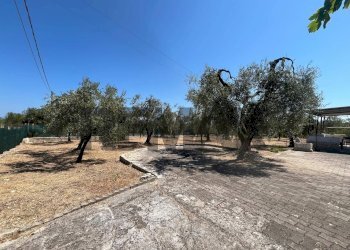 Non correlato - Villa Località San Luca
 
5, Vieste - photo 19