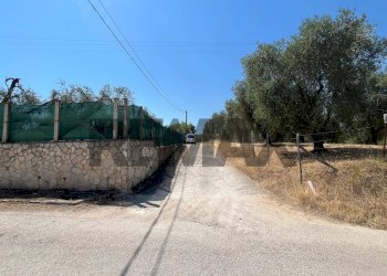 Non correlato - Villa Località San Luca
 
5, Vieste - photo 20