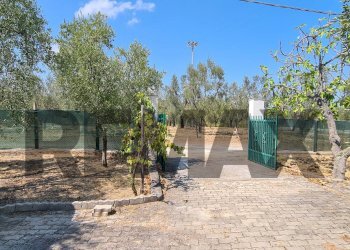 Giardino - Villa Località San Luca
 
5, Vieste - photo 26
