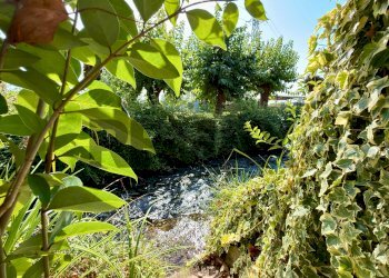 Giardino - Villa a Schiera via Primulacco
 
16, Reana del Rojale - foto 11