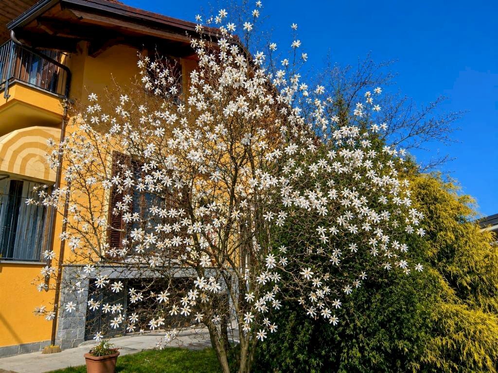 Giardino - Villa via Guglielmo Marconi, Cervasca - photo 1