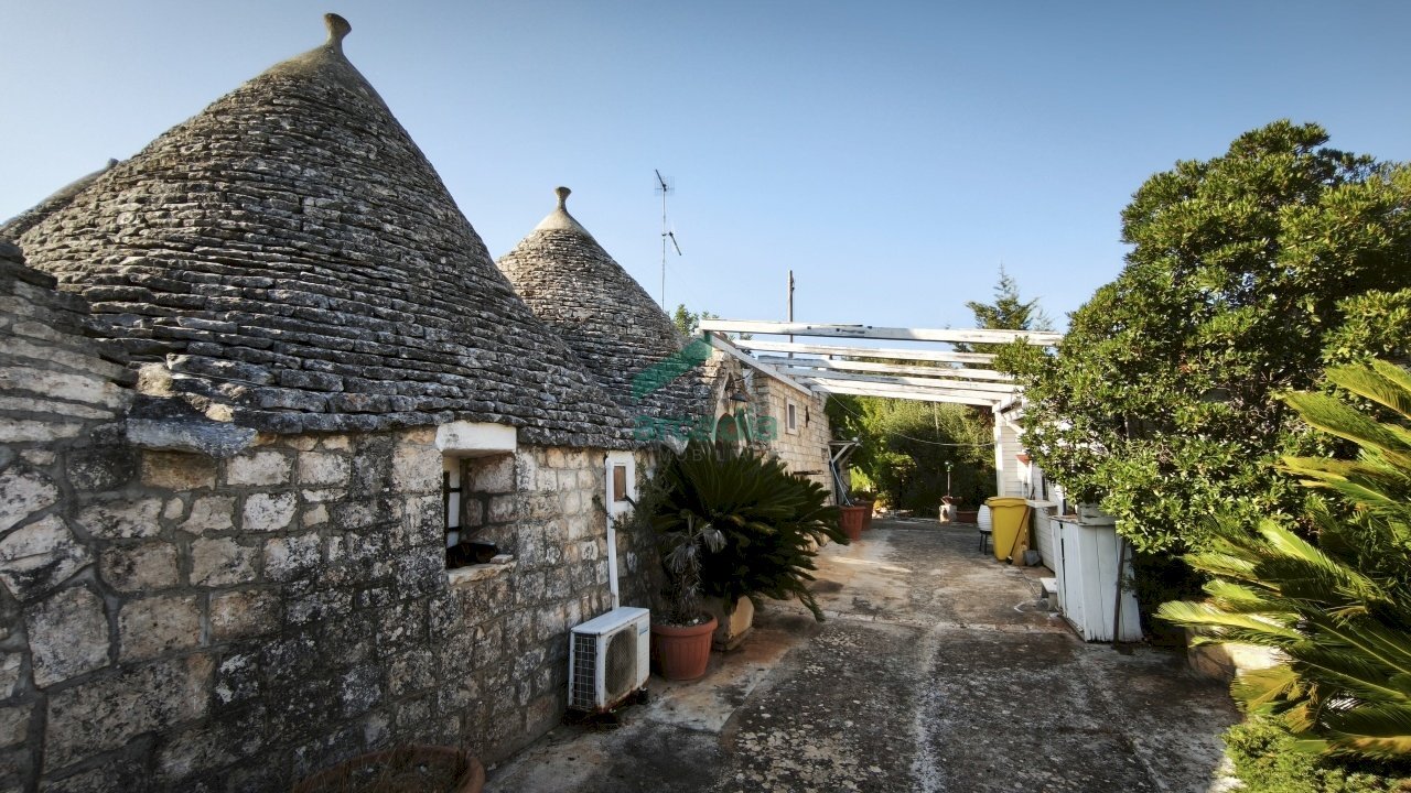 vista trulli - Casale Contrada Terranova, Monopoli - foto 3