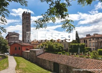 7 - Apartment Piazza San Michele, Lucca - photo 5
