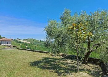 Casale Mango - foto 15