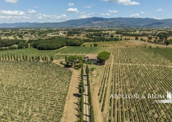 Casale Via Macchia della Madonna, 21, Cortona - foto 8