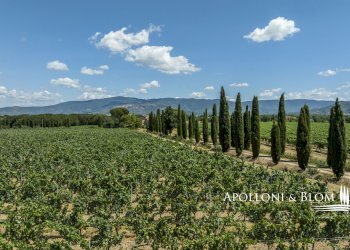 Casale Via Macchia della Madonna, 21, Cortona - foto 9