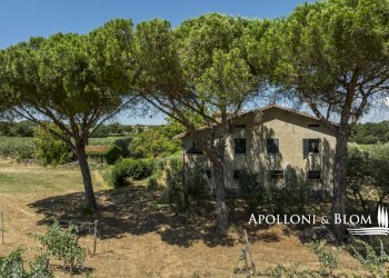 Casale Via Macchia della Madonna, 21, Cortona - foto 10