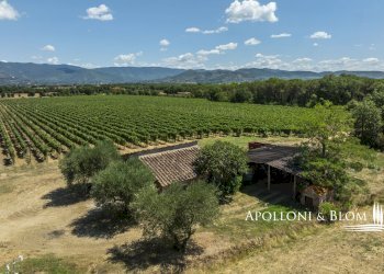 Casale Via Macchia della Madonna, 21, Cortona - foto 22