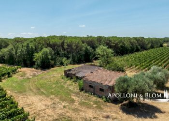 Casale Via Macchia della Madonna, 21, Cortona - foto 23
