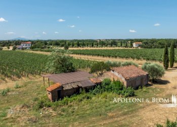 Casale Via Macchia della Madonna, 21, Cortona - foto 24