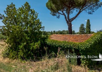 Casale Via Macchia della Madonna, 21, Cortona - foto 25