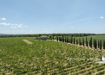 Casale Via Macchia della Madonna, 21, Cortona - foto 28