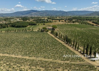 Casale Via Macchia della Madonna, 21, Cortona - foto 29