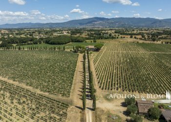 Casale Via Macchia della Madonna, 21, Cortona - foto 30