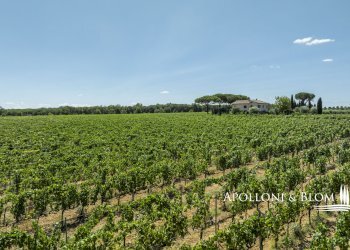 Casale Via Macchia della Madonna, 21, Cortona - foto 31