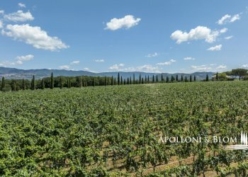 Casale Via Macchia della Madonna, 21, Cortona - foto 32