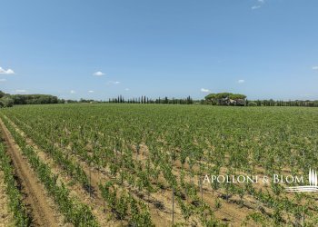 Casale Via Macchia della Madonna, 21, Cortona - foto 33