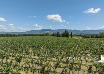 Casale Via Macchia della Madonna, 21, Cortona - foto 34