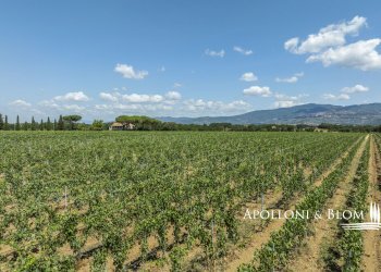 Casale Via Macchia della Madonna, 21, Cortona - foto 35