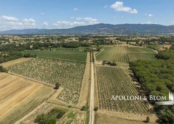 Casale Via Macchia della Madonna, 21, Cortona - foto 36