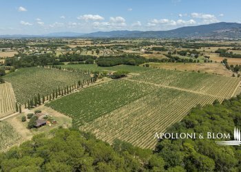 Casale Via Macchia della Madonna, 21, Cortona - foto 37
