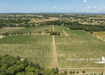 Casale Via Macchia della Madonna, 21, Cortona - foto 38