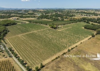 Casale Via Macchia della Madonna, 21, Cortona - foto 39