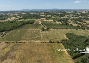 Casale Via Macchia della Madonna, 21, Cortona - foto 40