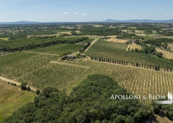 Casale Via Macchia della Madonna, 21, Cortona - foto 41