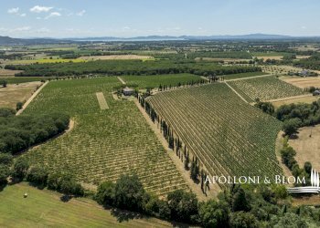 Casale Via Macchia della Madonna, 21, Cortona - foto 42