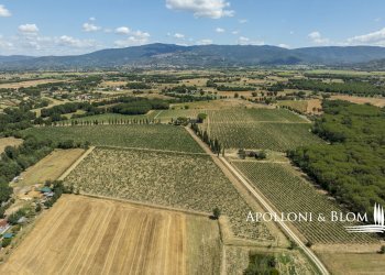 Casale Via Macchia della Madonna, 21, Cortona - foto 43