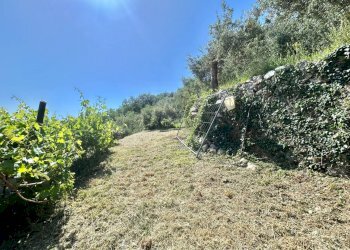 Foto 26 - Appartamento Via Raffaello Orseo, Pietra Ligure - foto 26