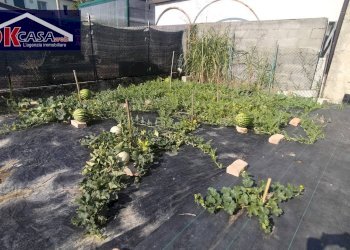 Foto 7 - Casa indipendente Via dei Tre Busti, Fiumicello Villa Vicentina - foto 7