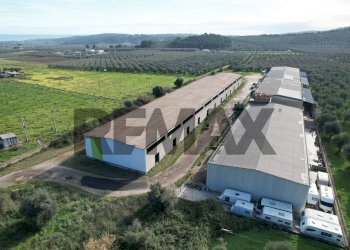 Casa all\'aperto - Capannone Località Mandrione
snc, Vieste - foto 10