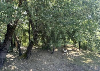 Giardino - Baita Via Cerreto
 
snc, Colli a Volturno - photo 67