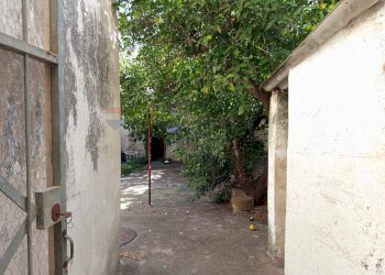 Giardino - Casa indipendente Via Pier Giovanni Rizzo
 
31, San Pietro Vernotico - foto 13