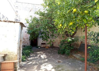 Giardino - Casa indipendente Via Pier Giovanni Rizzo
 
31, San Pietro Vernotico - foto 14