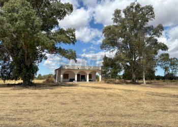 Casa all\'aperto - Villa Contrada Louzzo
 
snc, San Pietro Vernotico - foto 5